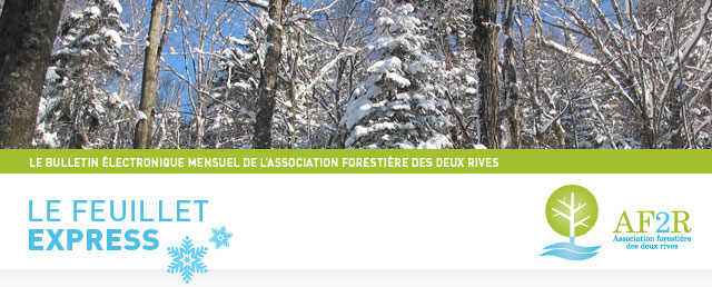 Les Colloques du SCF-CFL - Ordre des ingénieurs forestiers du Québec