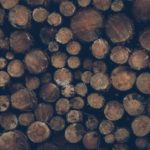 FORUM INNOVATION BOIS : Le MFFP annonce 38 M$ pour l’innovation dans l’industrie des produits du bois