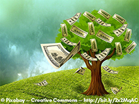 Étude: Les arbres de 500 millions $