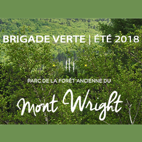 Brigade verte du mont Wright: Au service du parc et de ses usagers