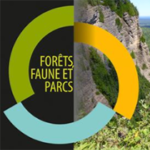 Lutte contre la tordeuse des bourgeons de l’épinette – Québec poursuit ses efforts pour préserver les forêts du Québec