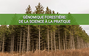 FastTRAC – Visite virtuelle portant sur la génomique forestière