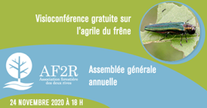 Visioconférence gratuite sur l’agrile du frêne et AGA 2020 de l’AF2R