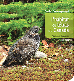 Guide : L’habitat du tétras du Canada