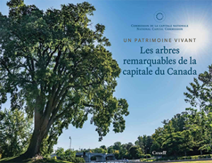 Les arbres remarquables de la capitale du Canada