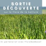 Inscrivez-vous: Sortie découverte sur la flore de la batture à l’île d’Orléans – 21 août 2021