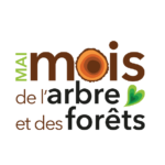Plants d’arbres gratuits pour les écoles, organismes et municipalités – Mois de l’arbre et des forêts 2024